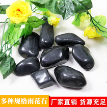  Black pebbles Garden courtyard paving stones dry landscape landscape Black stones yard decoration landscaping gravel