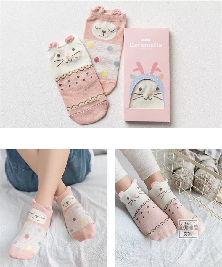 Mùa xuân và mùa hè mới 2 đôi tất nữ thuyền quà tặng hộp phim hoạt hình động vật ba chiều dễ thương AB đôi vớ cotton vớ nữ vớ tất xỏ ngón