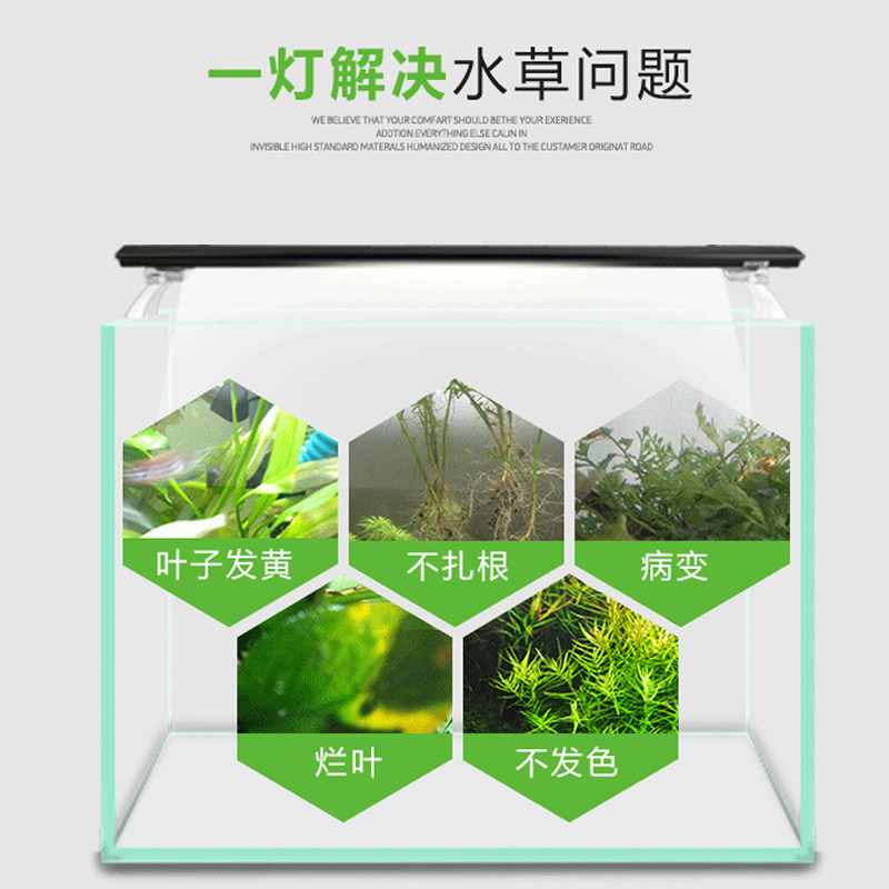 [USD 53.43] Odyssey T5HO rainforest tank fish tank water grass lighting ...