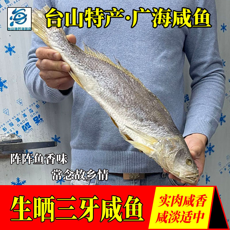 Tai Shan Special Produce Guanghai Tri-Tooth Salted Fish Solid Meat Tritooth Fish Guangdong Fishermen's Self-Dried Seafood Dry Goods 500 gr