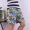 Mùa hè nam mới diện quần mỏng đi biển quần lửng ống rộng tăng 衩 Quần pyjama cotton nhân tạo Quần cotton nhà - Quần tây