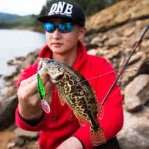 DNE go to Luya scavenger deep water suspended Minolua bait bait 7 5g tilapia mandarin fish army bait