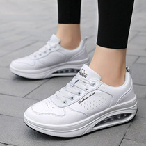 Womans shoes 2021 autumn and winter new pine shoes thick soles increase swing shoes sports casual shoes