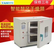 Electric constant temperature blast drying oven thermostat drying box industrial oven laboratory aging test chamber small oven