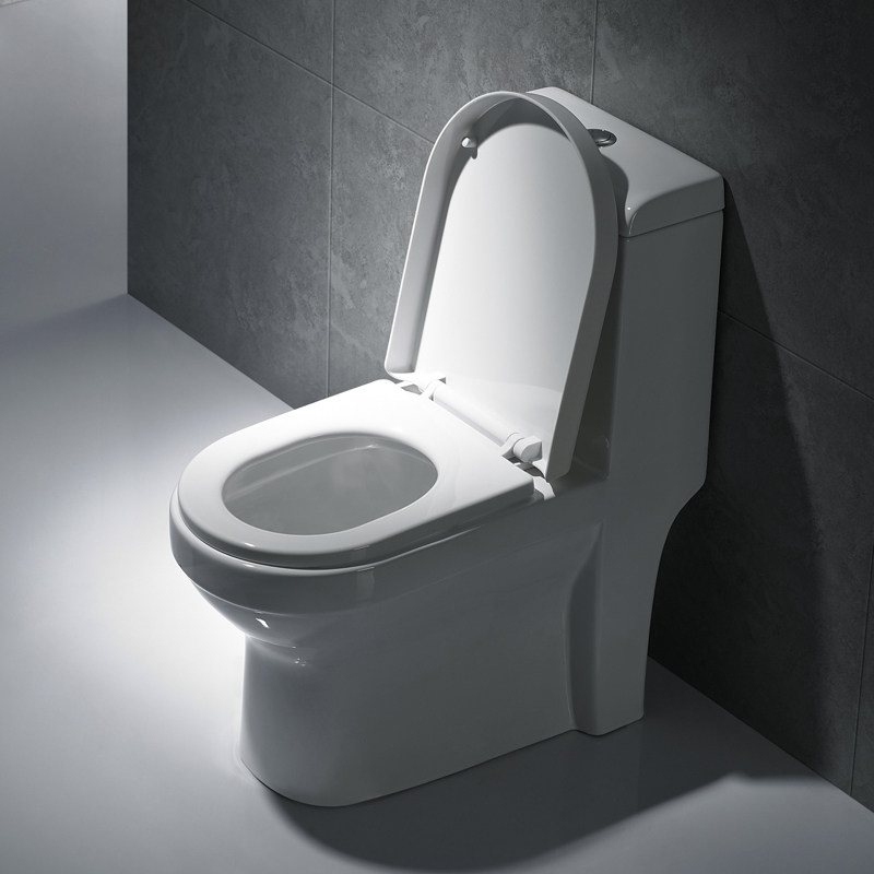 Ħ��������MP-1010