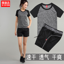 2020 summer casual sports shorts set womens yoga suit womens sports gym loose quick dry breathable