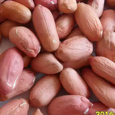 Shandong Weihai large peanuts, new Luhua pink skin, small swamp, peanut kernel Farm Fresh