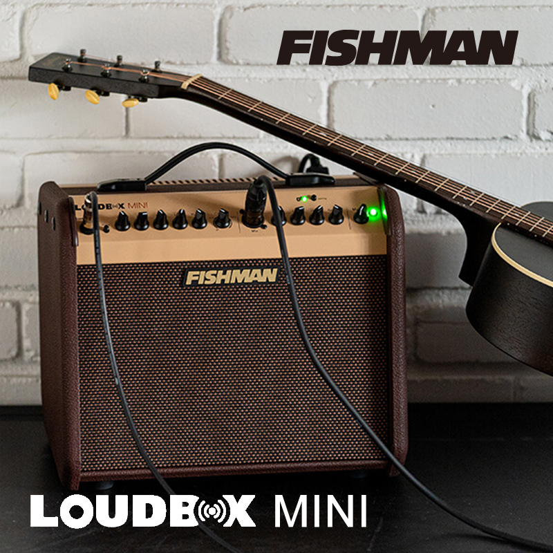 FISHMAN Loudbox Mini Acoustic Guitar Speaker Acoustic Guitar New Bluetooth 4 0