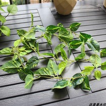 Simulation plant vine tree Vine green leaf wall wall hanging rattan basket living room green plant artificial flower decoration interior