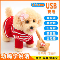 Childrens electric plush toy dog walking will be called singing and dancing simulation pet puppy Electronic Machine Girl