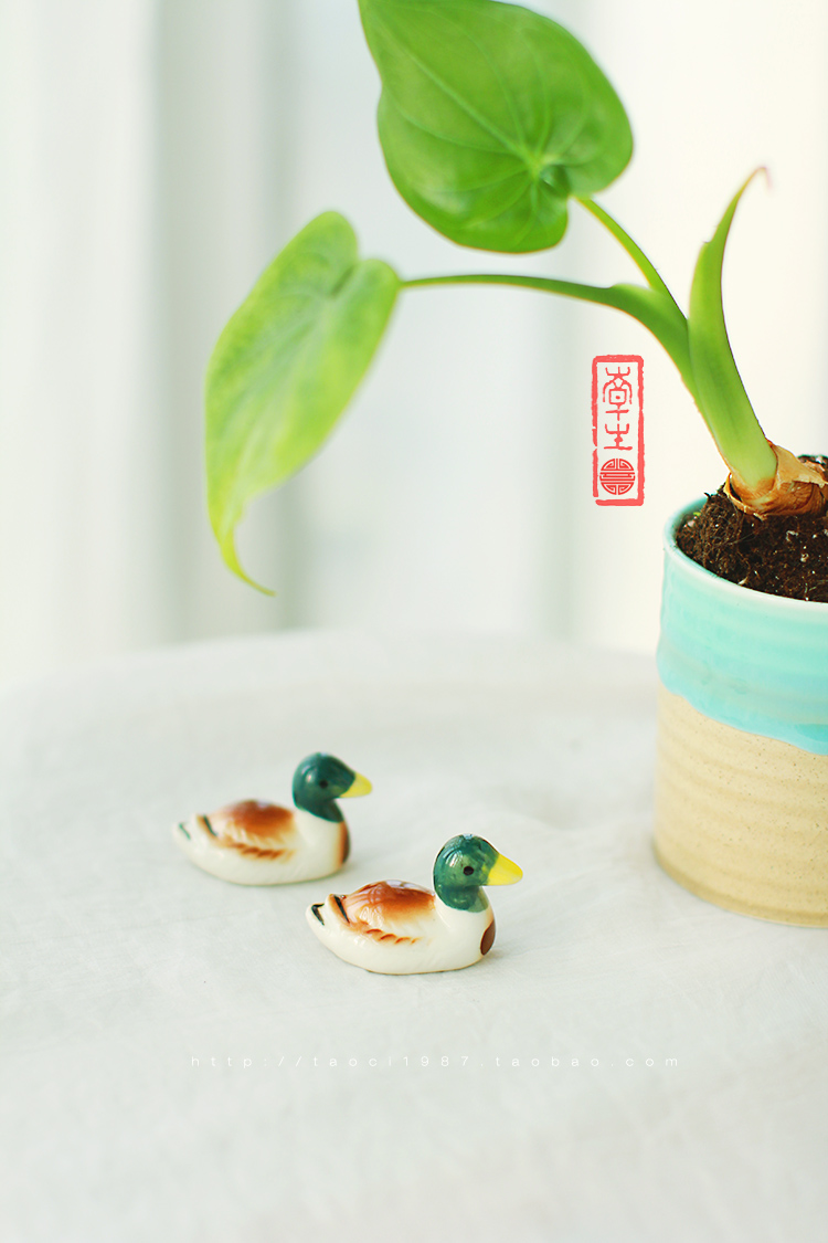 hGyTgvKjy9T/JMfycqcYivWsmdesdJA2o2oq