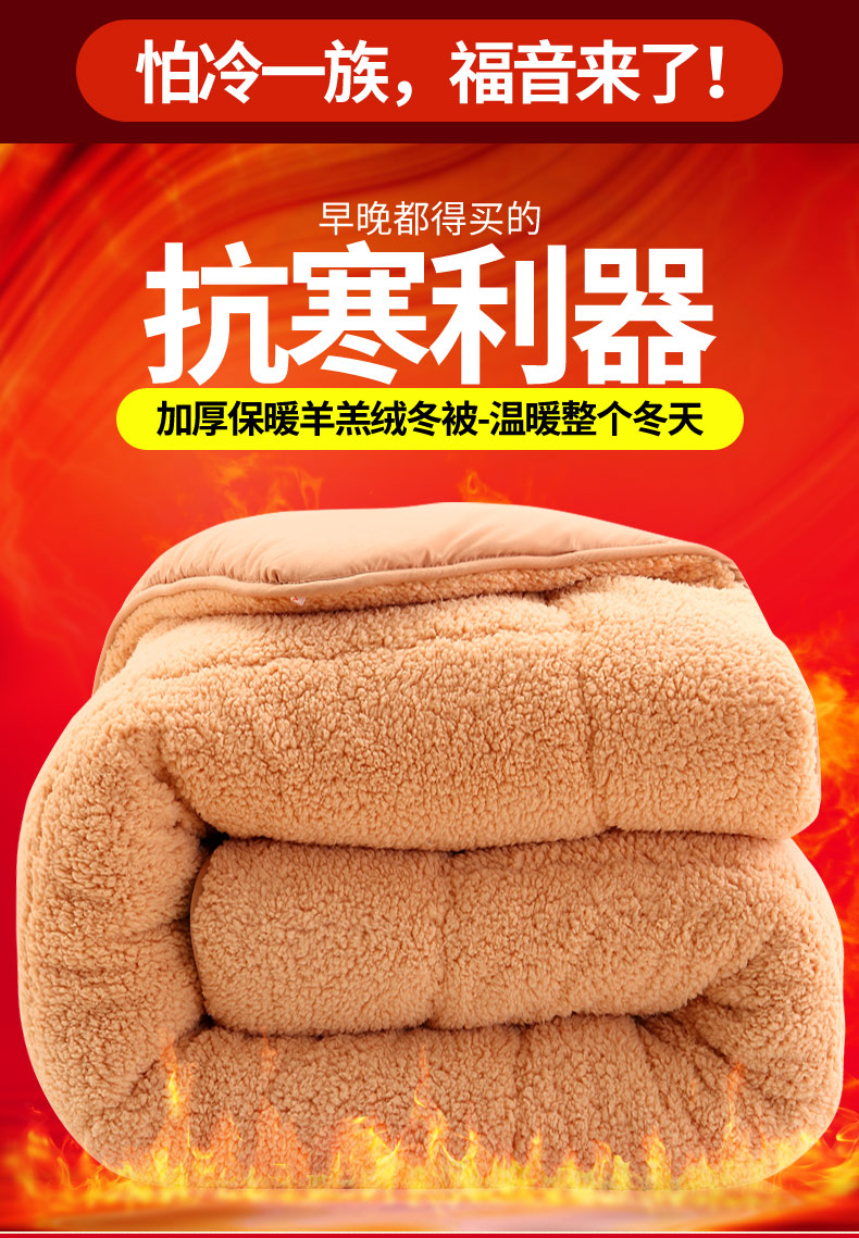 Antarctic people lamb suede winter quilt with thickened warm quilt core double cotton quilted by quilt single student quilted by bed sloth