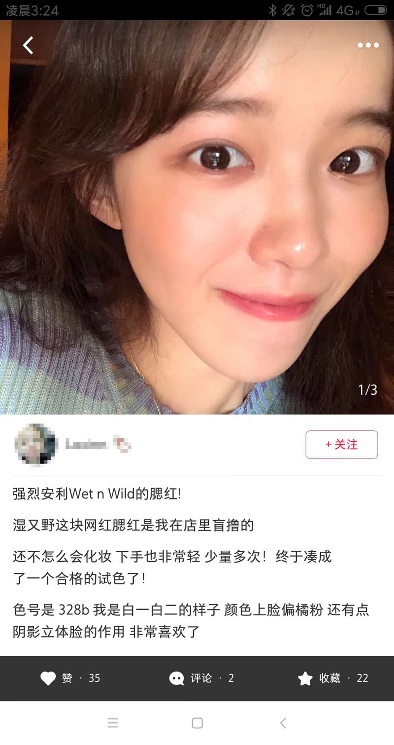 Mỹ New Wet n Wild Wet và Wild Monochrom Blush WNW Viterva Color Persistence 328b 327b - Blush / Cochineal má hồng chanel