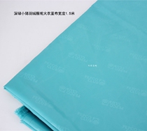 Down in a duvet coat a little green piglet in a dark vein.