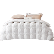 Mercury Home Textiles Down Quilt Winter Quilt 95 White Goose Down Quilt Antibacterial Warm Quilt Core Single and Double Quilt Home Quilt Core