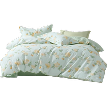 Mercury Home Textiles pure cotton four-piece set 100-piece home quilt cover bed sheet double set 24 years new product