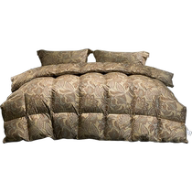 Mercury Home Textiles 5A grade imported 95 white goose down winter quilt warm down quilt antibacterial quilt core bedding 24 years new product