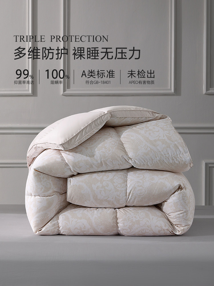 Mercury Home Textiles 95% White Goose down Winter Quilt, Class a Antibacterial and Warm down Quilt, High-End Quilt Core, New Year Gift