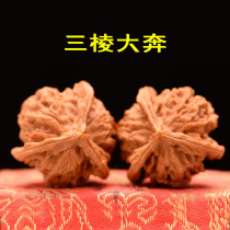 Three-edged Daben 39-41 boutique collection-level Wenwan walnut lion head four-edged play hand to play hemp walnut shaped