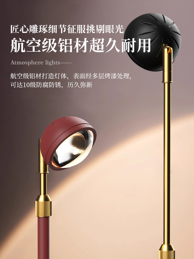Little Red Riding Hood Floor Lamp Next to the Sofa in the Living Room, High-End Light Luxury Floor Lamp, Bedroom Trendy Floor Lamp