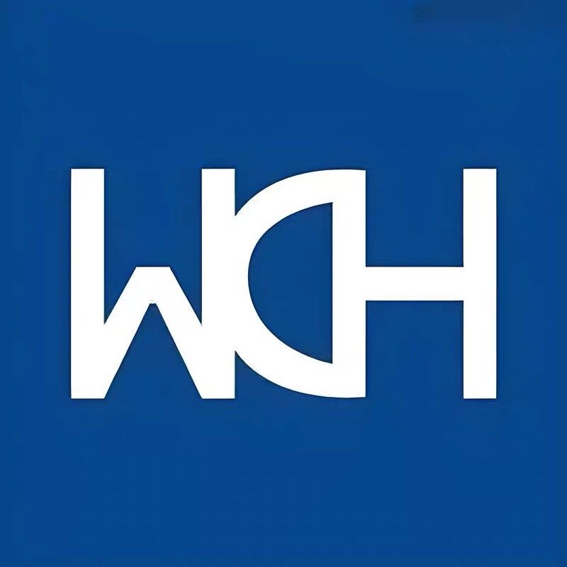WCH沁恒微电子的LOGO