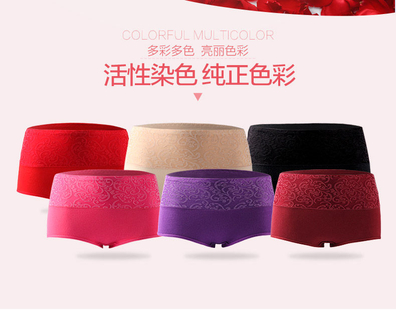 Slip jeunesse NHT1006 en coton - Ref 669236 Image 7