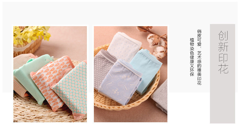 Slip jeunesse N686X2561 en coton - Ref 669211 Image 10