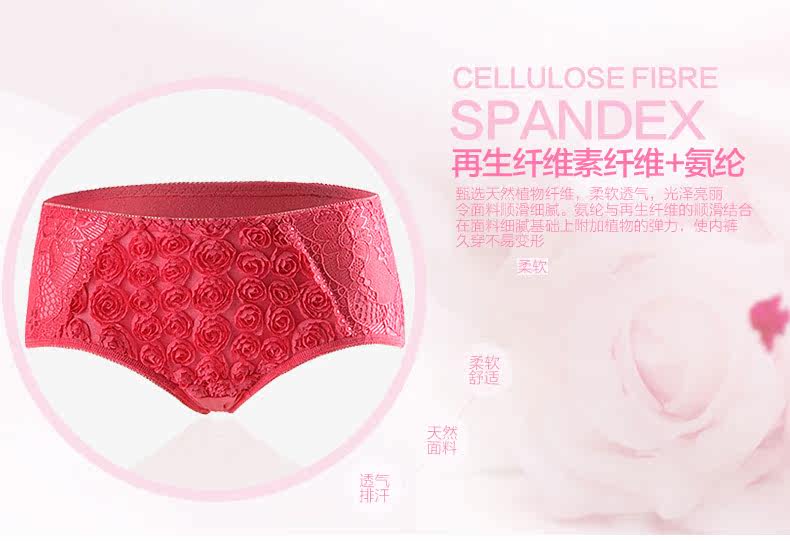 Slip jeunesse LF14X20205 - Ref 669217 Image 7