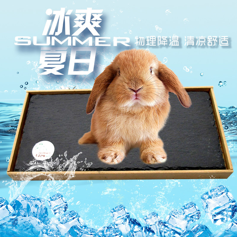 Small Pet Rabbit Toy Heat Dissipation Springboard Hamster Ware Platform Dragon Cat Dutch Pig Rock Cooling Pedal Special