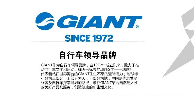 Poignées de vélo GIANT - Ref 2334390 Image 6