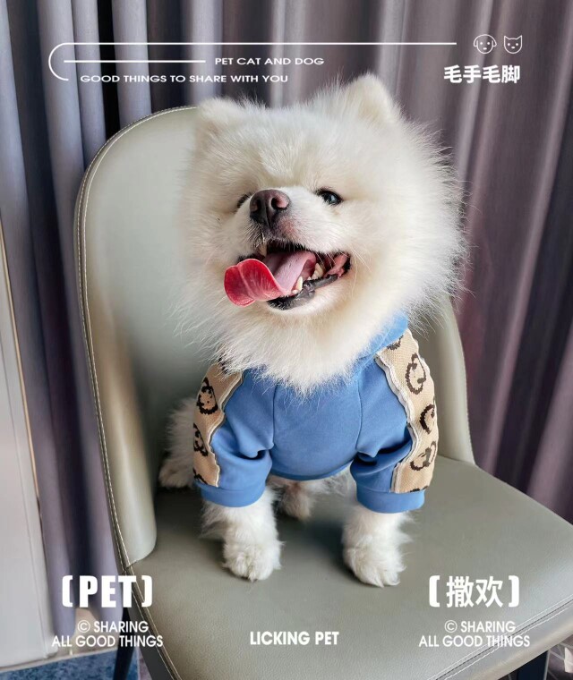 Y潮流宠时尚
