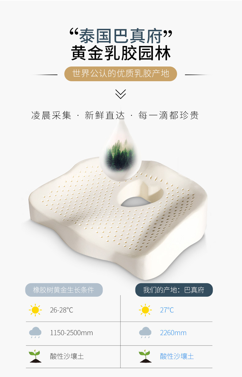 暖舒舒 泰国乳胶坐垫美臀垫 图2