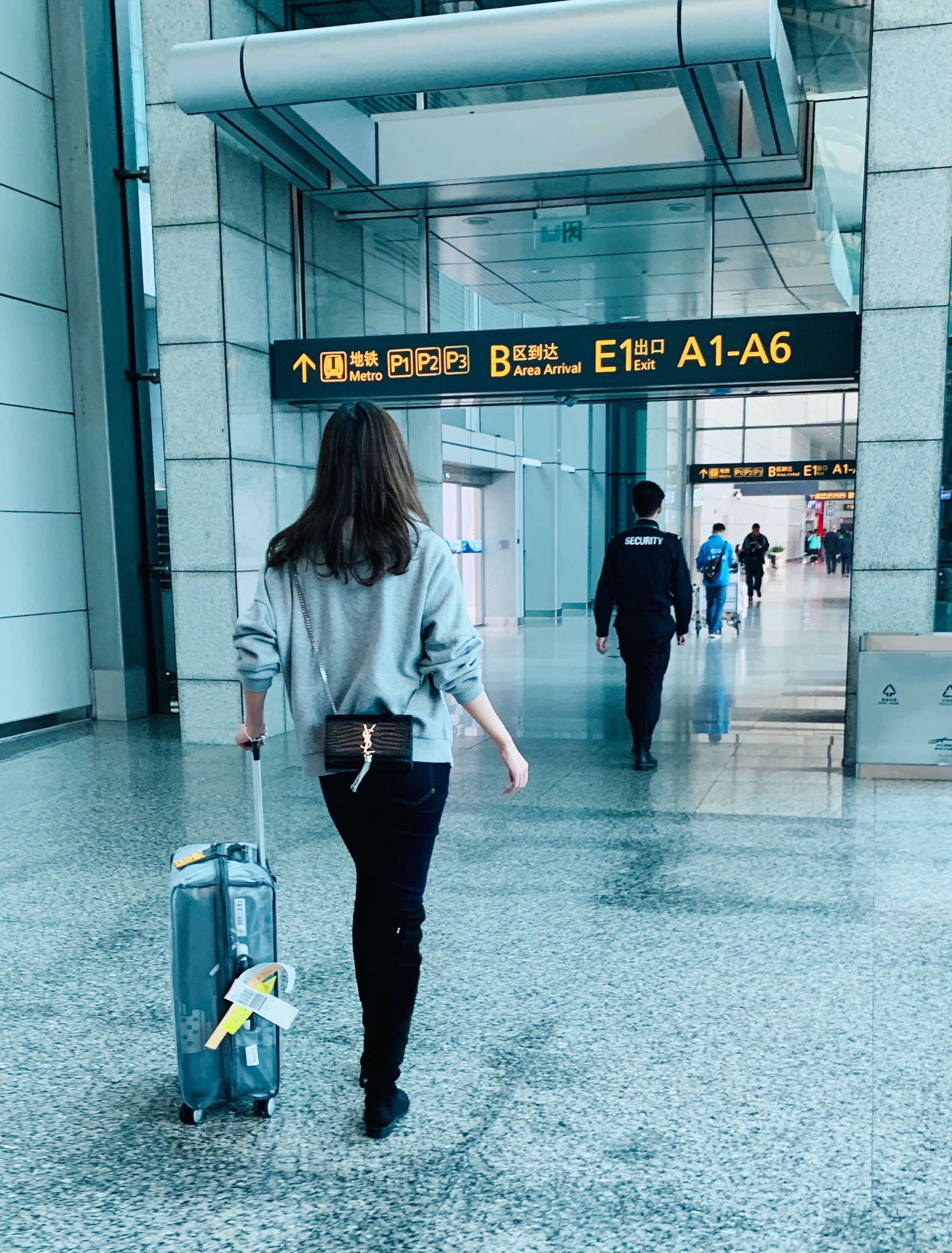 DG6*78001 DG6*78002 Little lion trolley case comes with original transparent frosted dream crystal case cover