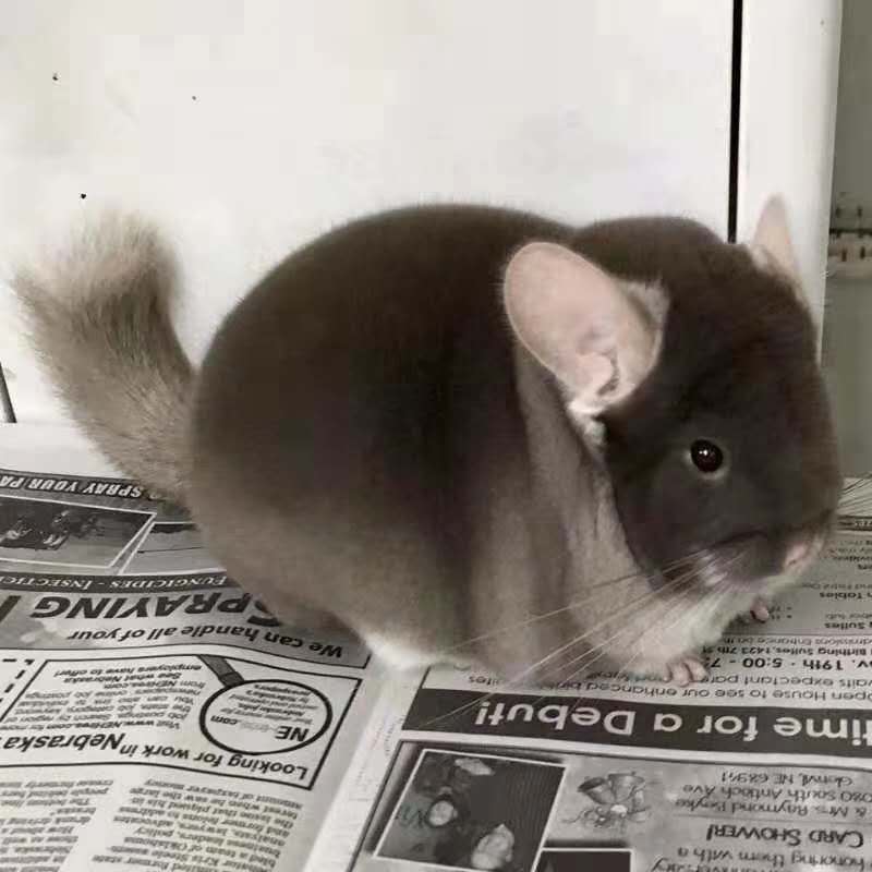 Special tonic for super-connected postage difference and price difference special to make up how many pieces to make