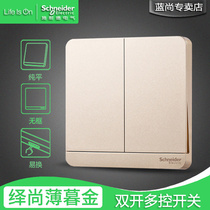 Schneider Yishang Bo Mujin two-position two-open dual-link multi-control three-control double-open midway switch original