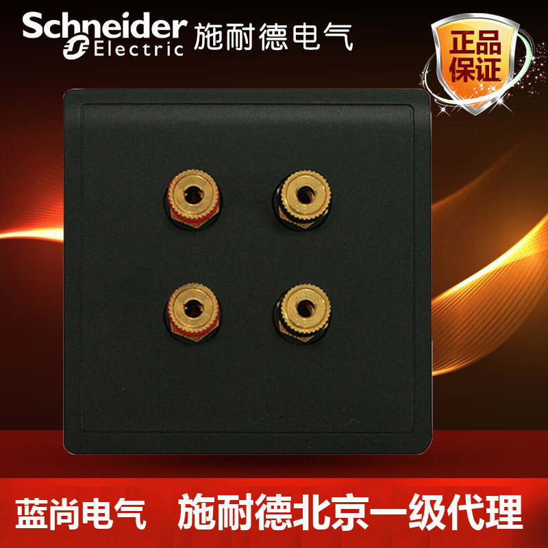 Schneider Fonchamps to write the Black Duplex Four-Head Sound Box Socket