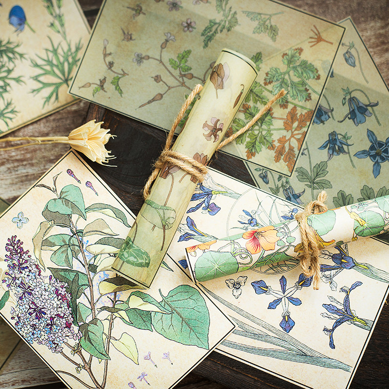 Junk Journal Sulphuric Acid Paper Background Paper Vintage Handbill Decoration Material Paper Retro Botanical Picture