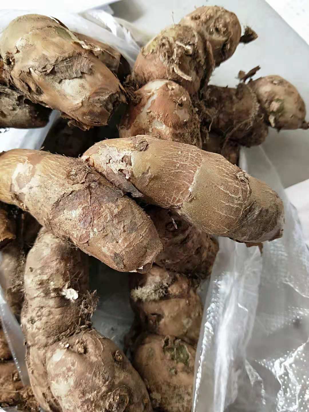 Wild Mountain ginger in Yunnan Dehong Mans Fresh Picking Cut Silk Cool Mix Ginger Cool National Food