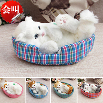 Will be called simulation Cat plush toy simulation cat cute kitten Doll Doll home decoration fake cat