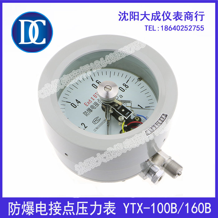 (Dacheng)YTX-100B 160B explosion-proof electric contact pressure gauge ExdIICT4 BT6 switch signal
