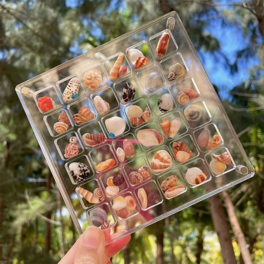 马尔代夫贝壳沙瓶：海洋微缩奇境的艺术珍藏