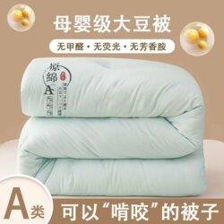 Class a Soybean Fiber Quilt Core for Students, Suitable for Spring and Autumn, Air-Conditioned Summer Quilt, Thickened Winter Quilt, Household Use, All-Season Universal