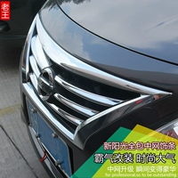 Подходит для Nissan 14-19 Новые солнечные светские яркие полоски для модификации специальных декоративных полос для установки Body Bright Bare