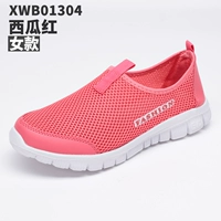 01304 Арбуз Красная Женщина