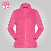 Роза Красная Девушка