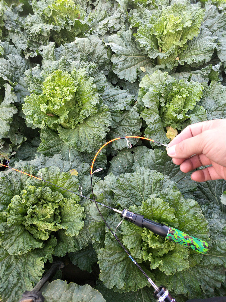 Ice удочкой 发泡把手冰钓鱼竿中硬尾冻钓鱼竿插节鱼竿冰上钓鱼竿50厘米60厘米 Dragon strong second generation