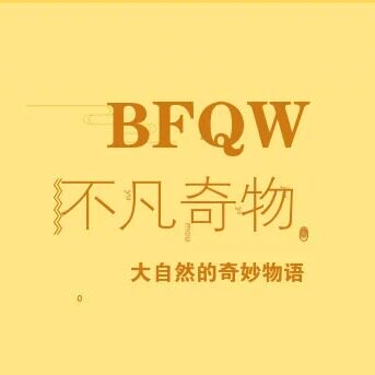 不凡奇物