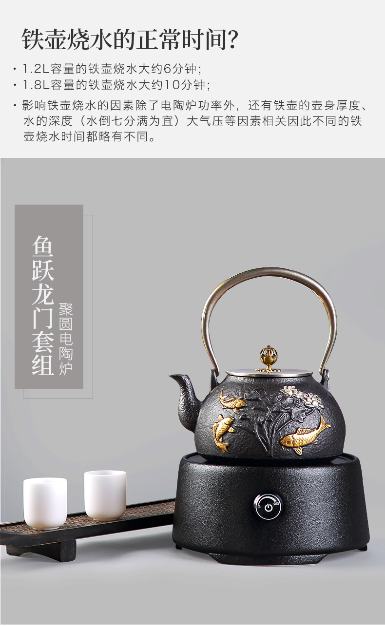 Iron pot of cast Iron tea kettle Japanese tea pot boiling tea ware household electric TaoLu bottle tea kettle