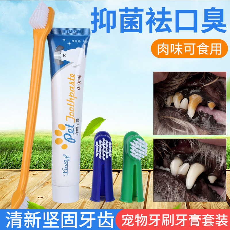 Pet double-headed cat toothbrush set dental oral cleaning supplies in addition to bad breath brushing teeth cleaning edible toothpaste