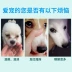 Mắt chó nhỏ giọt mắt thú cưng Teddy poodle rơi nước mắt giọt nước mắt mèo không kích thích rửa mắt - Thuốc nhỏ mắt